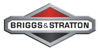 BRIGGS & STRATTON 8HP - Engine Information